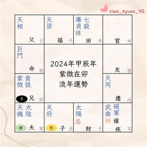 2024流年命宮天同|2024年紫微流年運勢預測